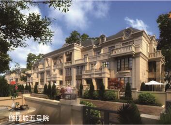 橄欖城五號院安裝木質防火門